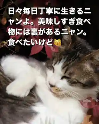 専念寺(大阪府)