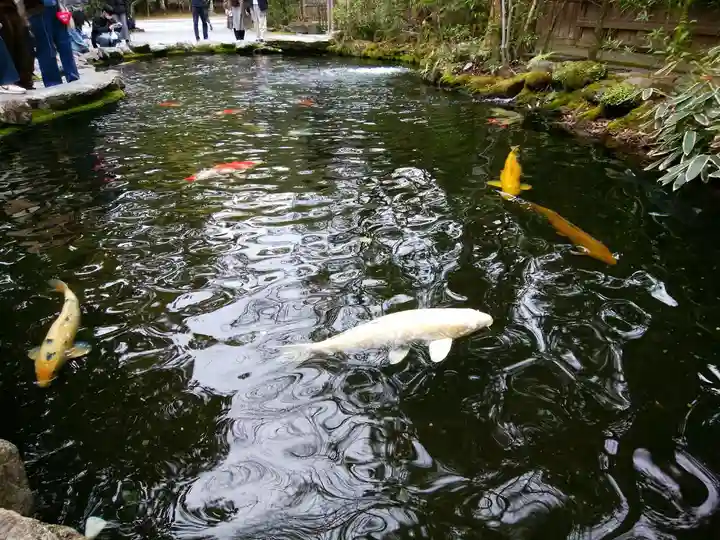伊勢神宮内宮(皇大神宮)(三重県)