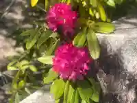 木舟山 順教寺の自然