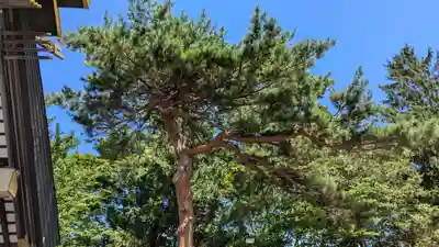 江別神社の自然