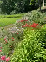 仁倉八幡神社の自然