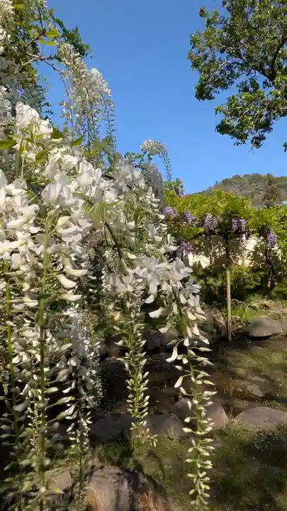 歌泉堂(春日大社神苑萬葉植物園内鎮座)(奈良県)