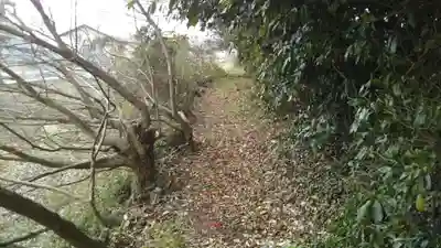 鹿島神社の周辺