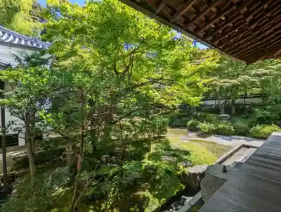 御寺 泉涌寺(京都府)