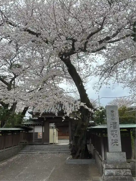 増明院(東京都)