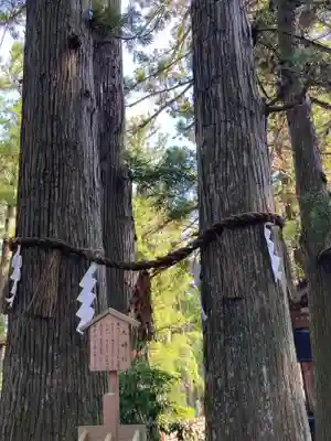 大崎八幡宮(宮城県)