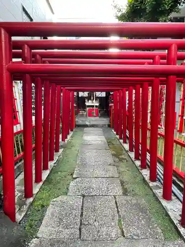 白笹稲荷神社の鳥居