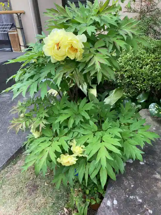 仏行寺(佛行寺)(神奈川県)