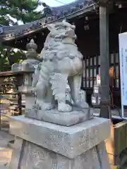 高砂神社の狛犬