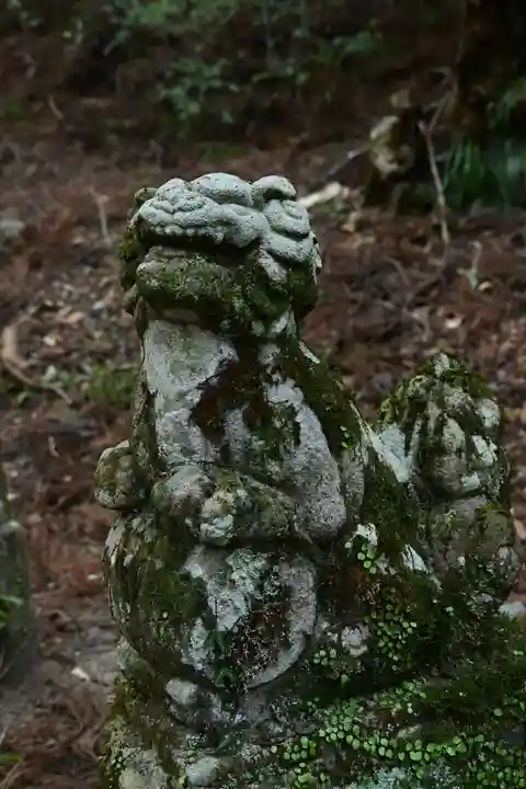 地主神社(桑の川の鳥居杉)(高知県)