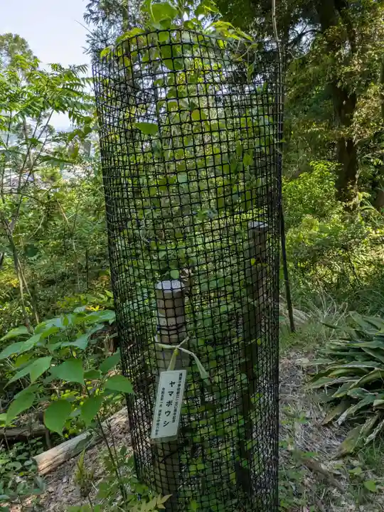 一心寺(岐阜県)