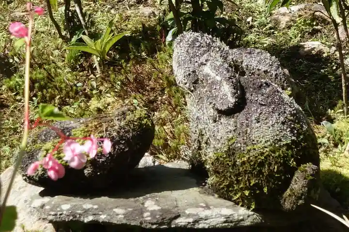 実相院門跡の狛犬