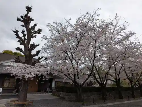 宝仙寺(東京都)