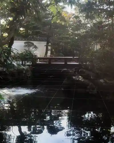 猿田彦神社の庭園