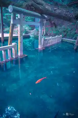 鹿島神宮(茨城県)