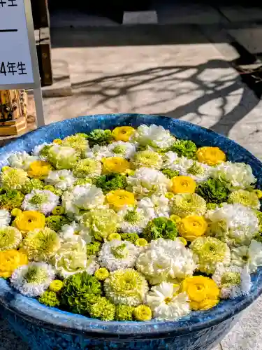 行田八幡神社の{uncategorized: "未分類", other: "その他", undefined: "問題あり", building: "その他建物", grave: "お墓", sacred_gate: "鳥居", guardian: "狛犬", statue: "像", buddha: "仏像", history: "歴史", nature: "自然", garden: "庭園", animal: "動物", pagoda: "塔", temizu: "手水舎", mountain_gate: "山門・神門", sanctuary: "本殿・本堂", subordinate: "末社・摂社", art: "芸術", scenery: "景色", jizo: "地蔵", ema: "絵馬", goshuin: "御朱印", omikuji: "おみくじ", items: "授与品その他", amulet: "お守り", goshuincho: "御朱印帳", eats: "食事", festival: "お祭り", votive_dance: "神楽", shichigosan: "七五三参", wedding: "結婚式", experience: "体験その他", initially: "初詣", around: "周辺", anti_infection: "感染症対策"}