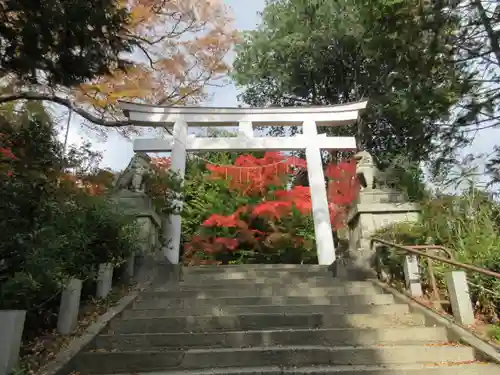 二本松神社の鳥居