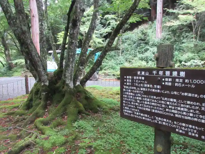 百済寺(滋賀県)