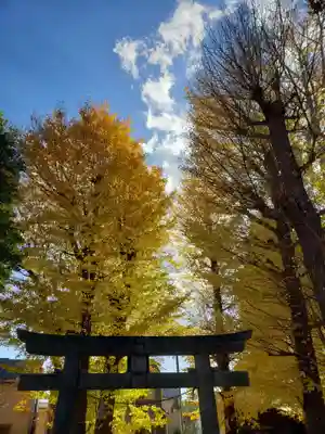 愛宕神社の自然