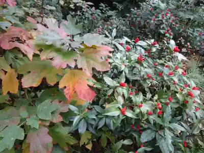 當麻寺中之坊(奈良県)