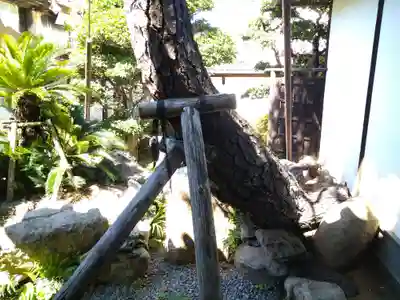 羽黒神社の周辺