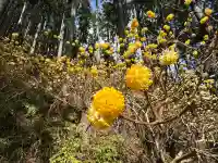 ビオトピア 弘法大師像の{uncategorized: "未分類", other: "その他", undefined: "問題あり", building: "その他建物", grave: "お墓", sacred_gate: "鳥居", guardian: "狛犬", statue: "像", buddha: "仏像", history: "歴史", nature: "自然", garden: "庭園", animal: "動物", pagoda: "塔", temizu: "手水舎", mountain_gate: "山門・神門", sanctuary: "本殿・本堂", subordinate: "末社・摂社", art: "芸術", scenery: "景色", jizo: "地蔵", ema: "絵馬", goshuin: "御朱印", omikuji: "おみくじ", items: "授与品その他", amulet: "お守り", goshuincho: "御朱印帳", eats: "食事", festival: "お祭り", votive_dance: "神楽", shichigosan: "七五三参", wedding: "結婚式", experience: "体験その他", initially: "初詣", around: "周辺", anti_infection: "感染症対策"}