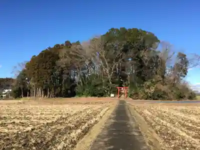 星宮神社のその他建物
