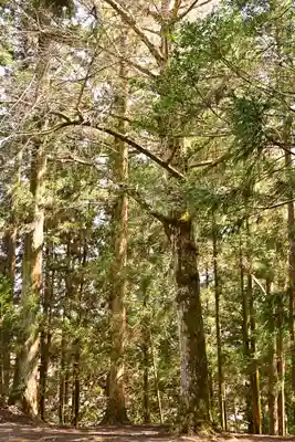 相峰神社(愛媛県)