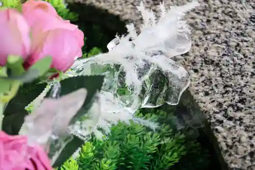 阿邪訶根神社の手水舎