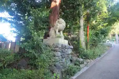粟田神社の狛犬