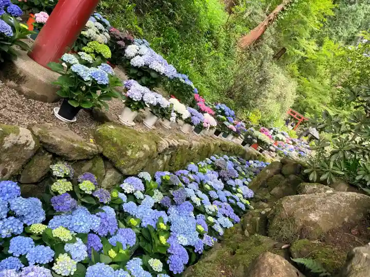 岡寺(龍蓋寺)(奈良県)