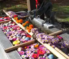 今市報徳二宮神社の手水