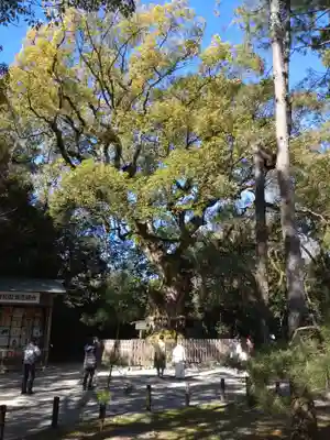 熱田神宮(愛知県)