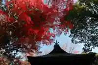 國祖神社の景色