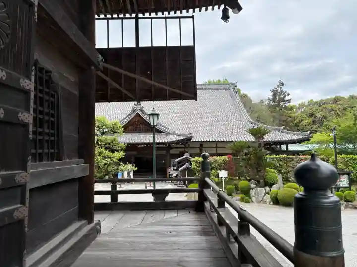 西教寺の{uncategorized: "未分類", other: "その他", undefined: "問題あり", building: "その他建物", grave: "お墓", sacred_gate: "鳥居", guardian: "狛犬", statue: "像", buddha: "仏像", history: "歴史", nature: "自然", garden: "庭園", animal: "動物", pagoda: "塔", temizu: "手水舎", mountain_gate: "山門・神門", sanctuary: "本殿・本堂", subordinate: "末社・摂社", art: "芸術", scenery: "景色", jizo: "地蔵", ema: "絵馬", goshuin: "御朱印", omikuji: "おみくじ", items: "授与品その他", amulet: "お守り", goshuincho: "御朱印帳", eats: "食事", festival: "お祭り", votive_dance: "神楽", shichigosan: "七五三参", wedding: "結婚式", experience: "体験その他", initially: "初詣", around: "周辺", anti_infection: "感染症対策"}