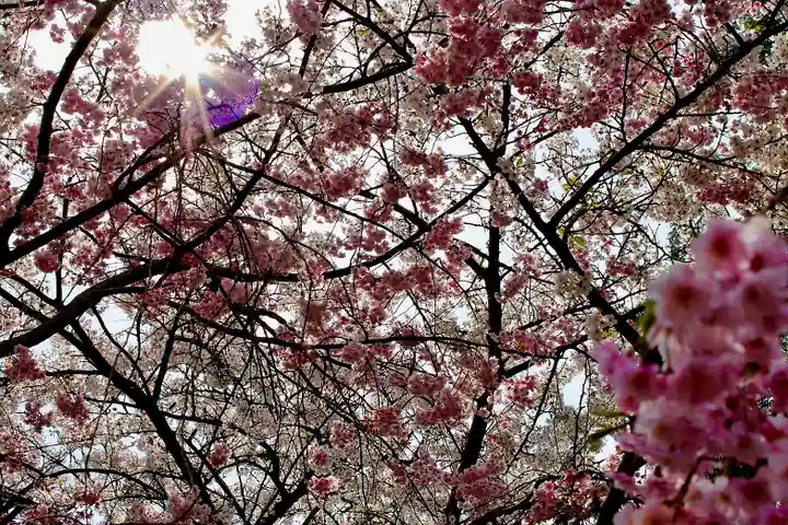 滋賀県護国神社(滋賀県)