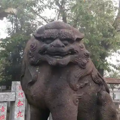 白髭神社の狛犬