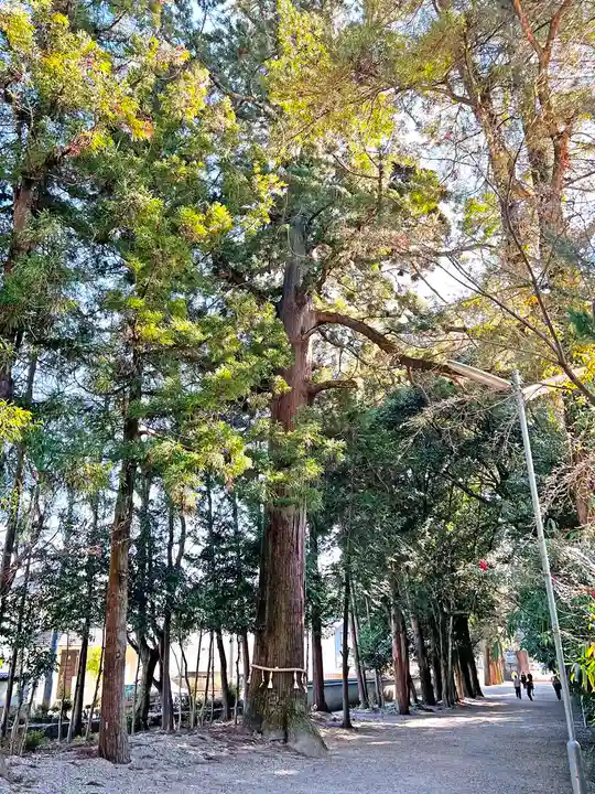 猿投神社の自然