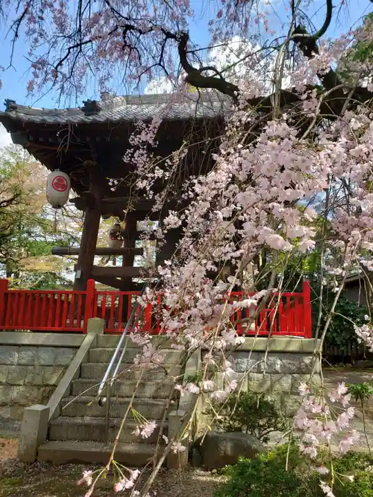 龍光寺(東京都)
