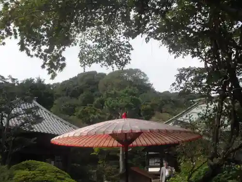 海蔵寺の庭園