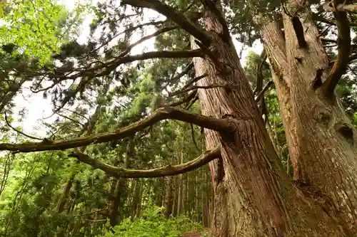 白山中居神社(岐阜県)