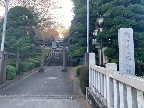 白幡八幡大神の鳥居