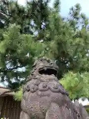 福井神社(福井県)