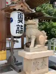 伊和志津神社の狛犬