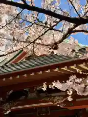 秋葉神社(東京都)