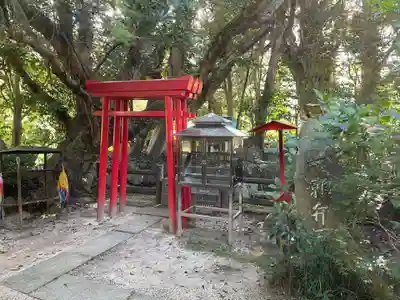 浄瑠璃寺(愛媛県)