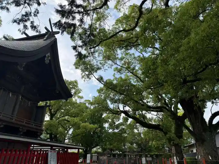 美奈宜神社(福岡県)