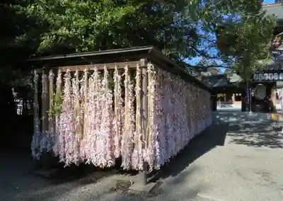 寒川神社のおみくじ