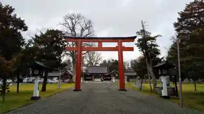 北海道護國神社の鳥居