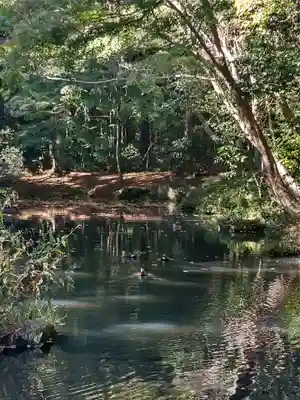 武蔵陵墓地の自然